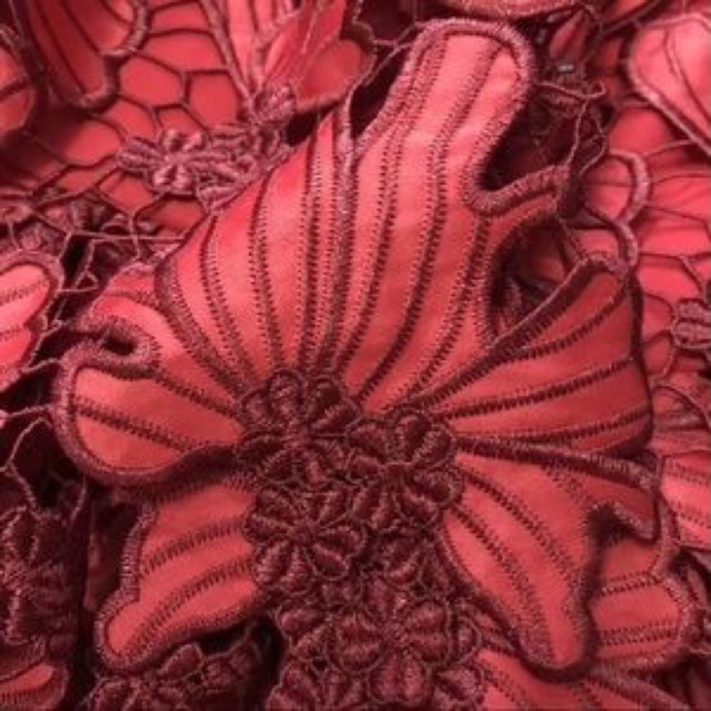 NWT Runway Alexis Defina Lace Tiered Dress S - Picture 13 of 13